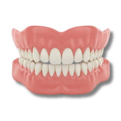 Denture Set