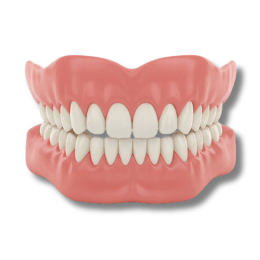 Denture Set